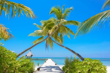 Les plus belles plages de Zanzibar à découvrir absolument