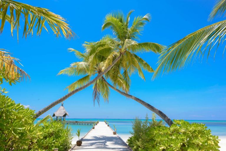 Les plus belles plages de Zanzibar à découvrir absolument