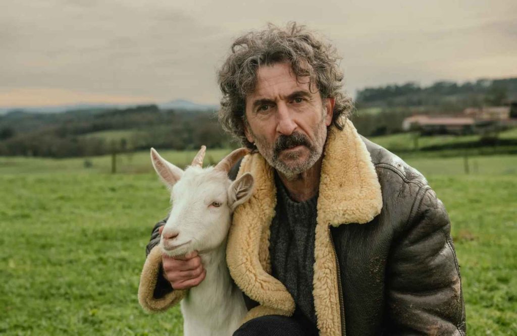 Animal (Netflix) : la comédie noire qui dérange et séduit — voilà pourquoi tout le monde en parle cette semaine