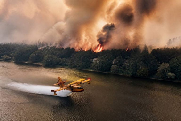 Fontainebleau en flammes : 800 ha partis en fumée — les images des Canadairs puisant dans la Seine qui donnent la chair de poule Fontainebleau en flammes : 800 ha partis en fumée — les images des Canadairs puisant dans la Seine qui donnent la chair de poule